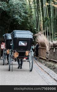 Carriage in Arashiyama Bamboo Grove, Travelers sightseeing in Sagano Bamboo Forest. landmark and popular for tourists attractions in Kyoto, Japan. Asia travel concept