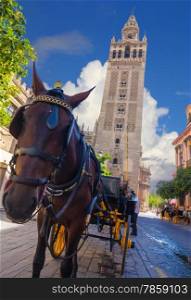 Carriage with horse next to the famous Giralda in Seville, Spain