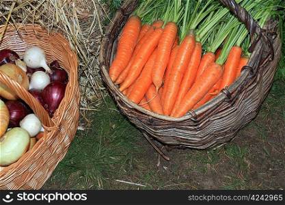carrot in basket on rural market