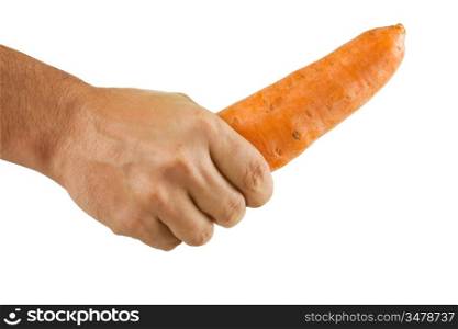 carrot in hand solated on white background