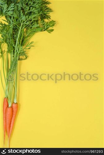 Carrot isolated on bright yellow background. Top view on bunch of carrots. Copy space. Carrot isolated on bright yellow background.