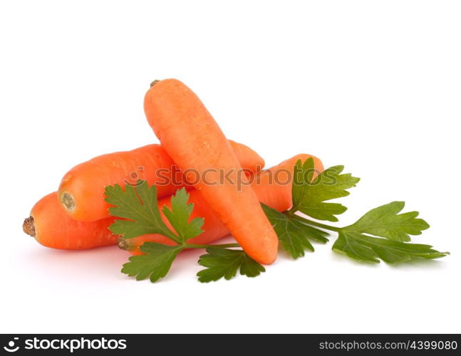 Carrot tubers isolated on white background