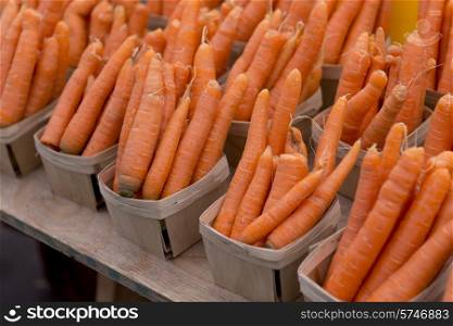 Carrots for sale at a market stall, Byward Market, Ottawa, Ontario, Canada