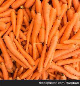 Carrots. Fresh organic carrots. Background texture of carrots.