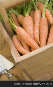 Carrots in a Wooden Trug