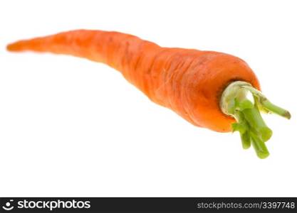 carrots isolated on a white