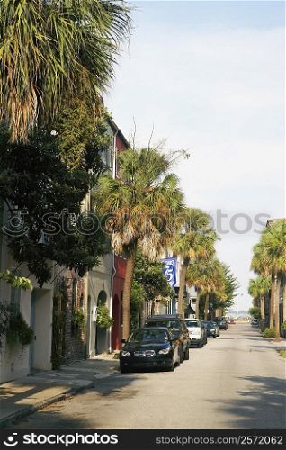 Cars parked at the roadside, Charleston, South Carolina, USA