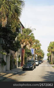 Cars parked at the roadside, Charleston, South Carolina, USA