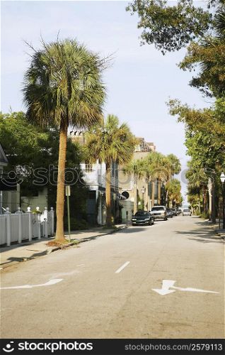 Cars parked at the roadside, Charleston, South Carolina, USA