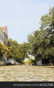 Cars parked on the street, Charleston, South Carolina, USA