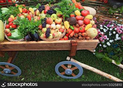 cart with vegetable and fruit on rural market