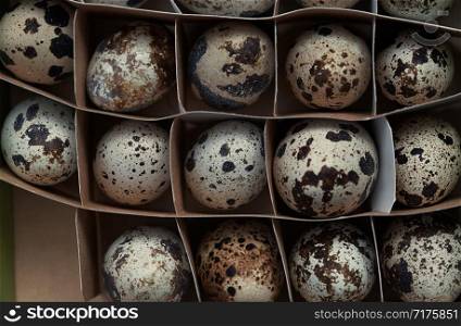 Carton box with quail eggs