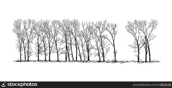 Cartoon doodle drawing illustration of group or alley of broadleaved or deciduous poplar tree on the far horizon in winter.. Cartoon Drawing of Group or Alley of Poplar Trees in the Far