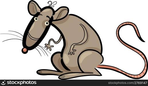Cartoon Humorous Illustration of Rat Animal Character