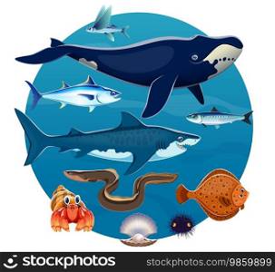 Cartoon sea animals and fishes of ocean world with big whale, shark and seashell, vector poster. Ocean exotic flying fish, tuna with herring, pearl shell and flounder with eel and sea urchin. Cartoon sea animals, fishes of underwater world