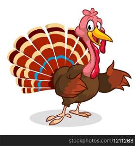 Cartoon Thanksgiving turkey presenting isolated on white. Vector