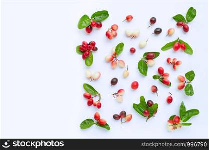 Carunda or Karonda fruits with leaves isolated on white background. Copy space