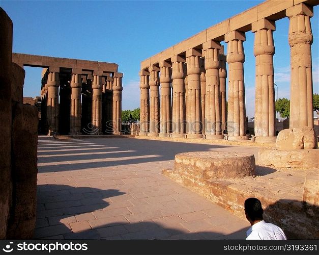 Carved columns of a temple, Temple Of Luxor, Luxor, Egypt