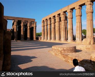 Carved columns of a temple, Temple Of Luxor, Luxor, Egypt