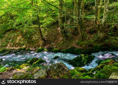 Cascade of river in the forest of Montenegro. Cascade of river