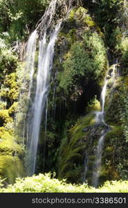 cascades between the vegetation