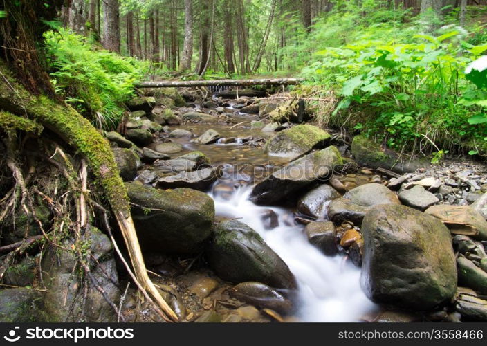 Cascades on a clear creek in a forest