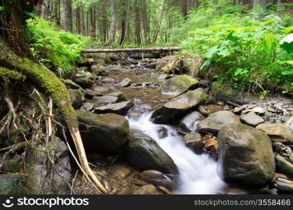 Cascades on a clear creek in a forest