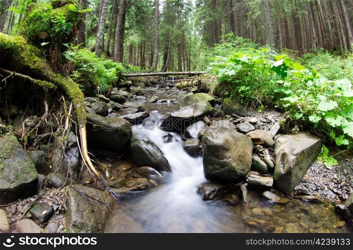 Cascades on a clear creek in a forest