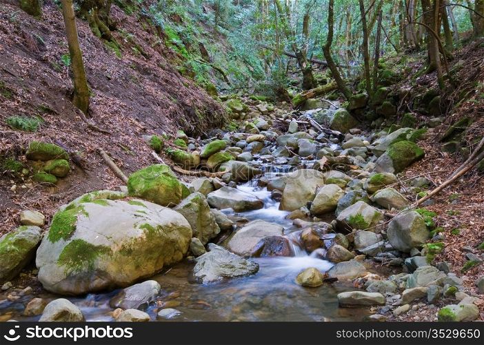 Cascading water, Uvas Canyon County Park, Morgan Hill, California
