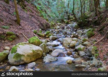 Cascading water, Uvas Canyon County Park, Morgan Hill, California