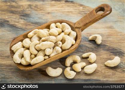 cashew nuts on a rustic wooden scoop against grunge painted wood background
