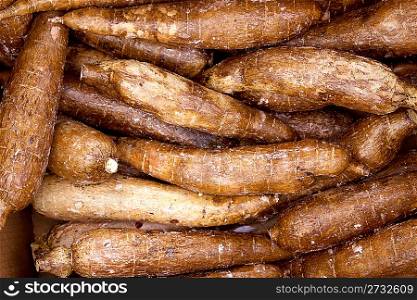 cassava yucca rhizomes vegatable food pattern market background