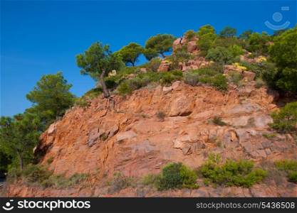 Castellon Desierto de las Palmas desert red mountains with pines at Spain
