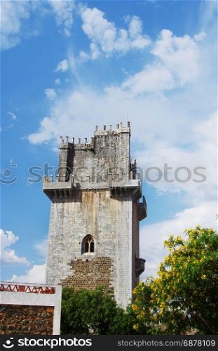 castle and the Tower of City of Beja, south of Portugal