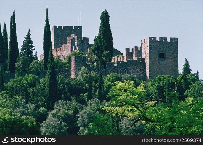 Castle behind trees, Crusader Castle, Tomar, Portugal