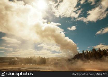 Castle geyser, Yellowstone National Park, Wyoming, USA