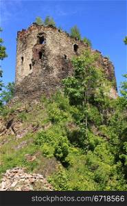 Castle in Swiecie
