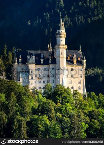 castle neuschwanstein bavaria
