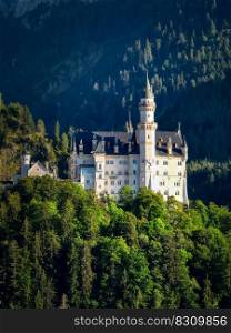 castle neuschwanstein castle germany