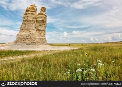 Castle Rock - limestone pillar landmark in prairie of western Kansas near Quinter (Gove County) with wildflowers, summer scenery