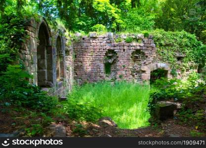Castle ruin in Ottrott in Alsace in france