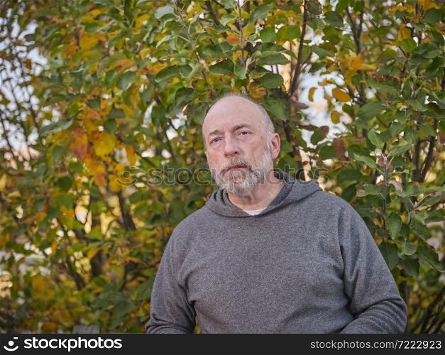 casual backyard portrait of a senior, confident, serious, bald man in sweatshirt with an apple tree in background