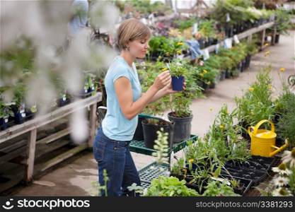 Casual young woman shopping for plants