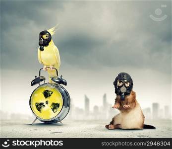 Cat and parrot in gas masks