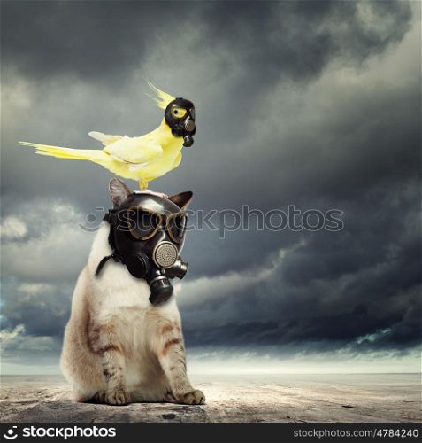 Cat and parrot in gas masks. Cat and parrot in gas masks. Ecology concept