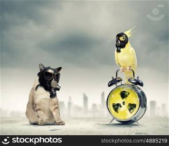 Cat and parrot in gas masks. Cat and parrot in gas masks. Ecology concept