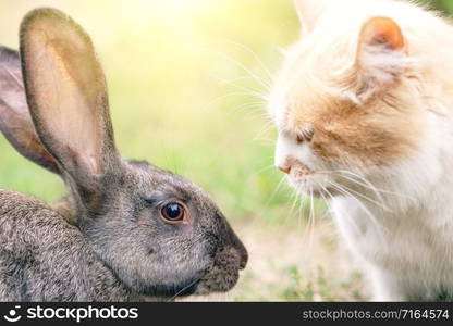 Cat and rabbit opposite each other on a green background. Friendship and love concept. Cat and rabbit opposite each other