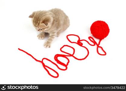 cat and wool sign happy