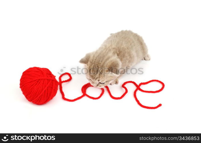 cat and wool sign love