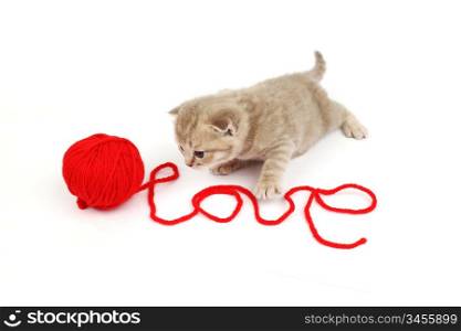 cat and wool sign love